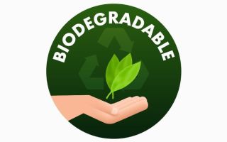 Biodegradable Products
